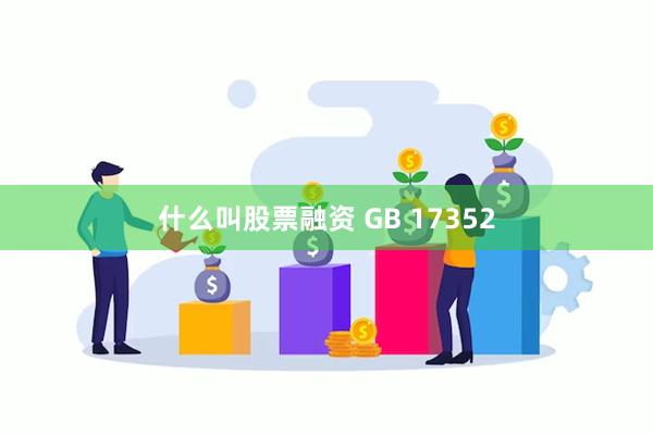 什么叫股票融资 GB 17352