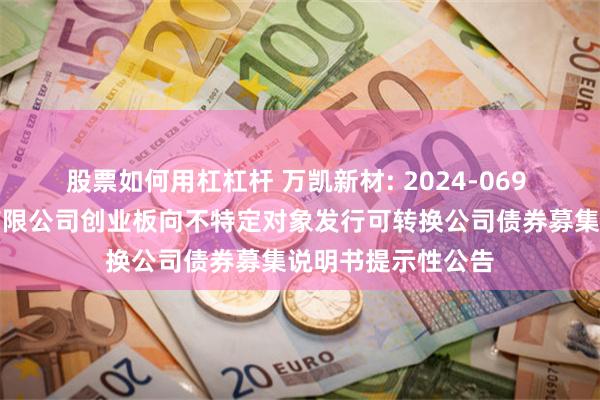 股票如何用杠杠杆 万凯新材: 2024-069 万凯新材料股份有限公司创业板向不特定对象发行可转换公司债券募集说明书提示性公告