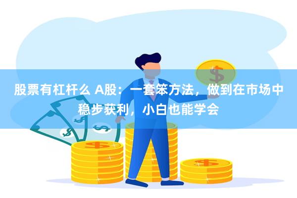 股票有杠杆么 A股：一套笨方法，做到在市场中稳步获利，小白也能学会