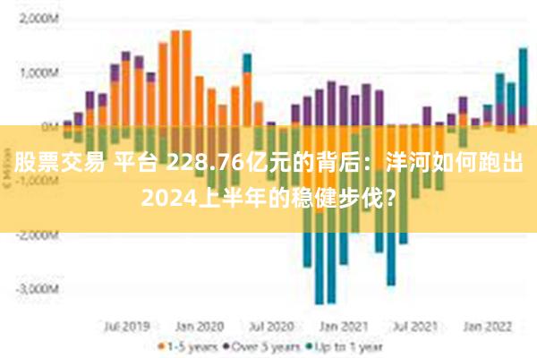 股票交易 平台 228.76亿元的背后：洋河如何跑出2024上半年的稳健步伐？