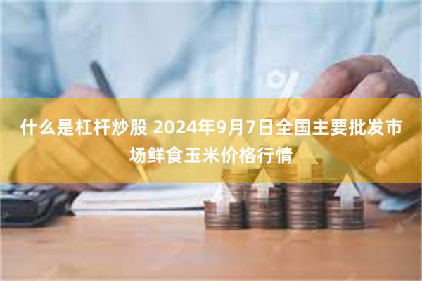 什么是杠杆炒股 2024年9月7日全国主要批发市场鲜食玉米价格行情