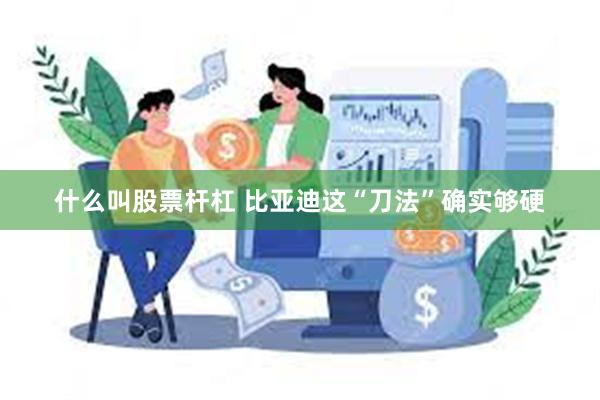 什么叫股票杆杠 比亚迪这“刀法”确实够硬