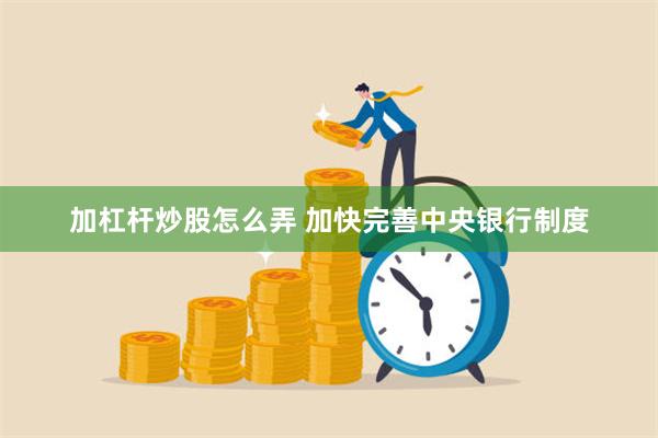 加杠杆炒股怎么弄 加快完善中央银行制度