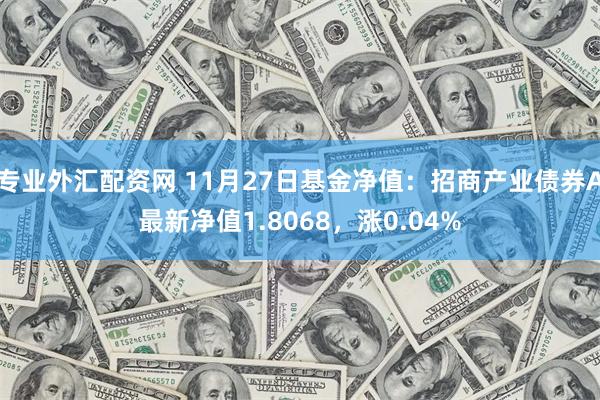 专业外汇配资网 11月27日基金净值：招商产业债券A最新净值1.8068，涨0.04%