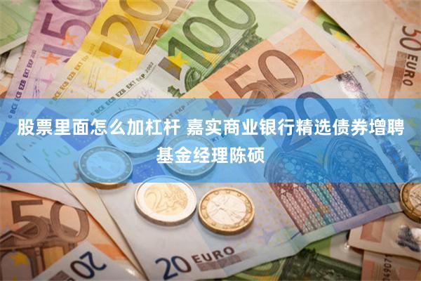 股票里面怎么加杠杆 嘉实商业银行精选债券增聘基金经理陈硕