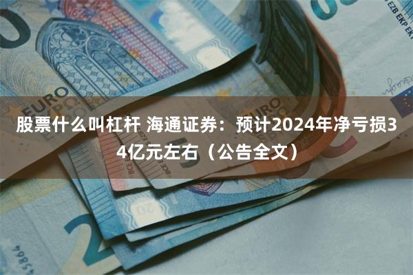 股票什么叫杠杆 海通证券：预计2024年净亏损34亿元左右（公告全文）