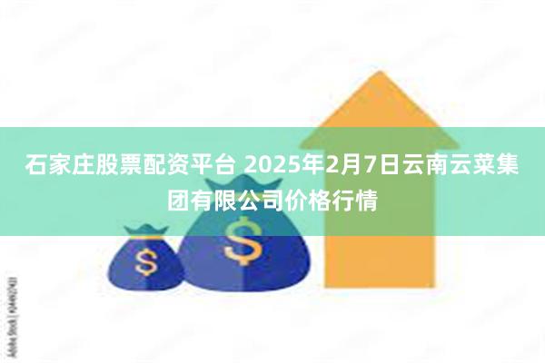 石家庄股票配资平台 2025年2月7日云南云菜集团有限公司价格行情